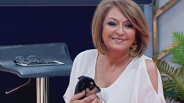 Adoção e abandono de animais em tempo de pandemia