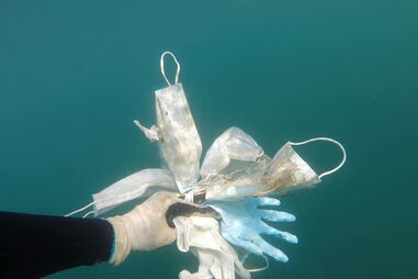 Máscaras e luvas são o novo pesadelo na luta contra a poluição dos oceanos. Veja as imagens