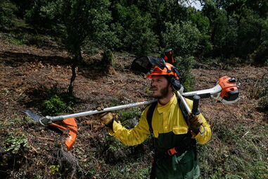 Na serra algarvia equipas de sapadores "protegem" a floresta dos incêndios 