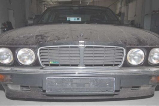 Jaguar de Christian Bruecker