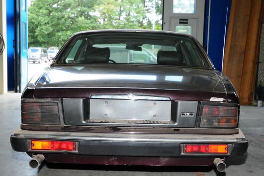 Jaguar de Christian Bruecker