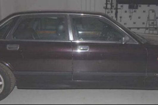 Jaguar de Christian Bruecker