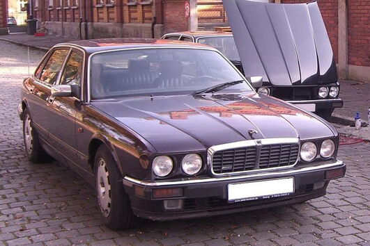 Jaguar de Christian Bruecker