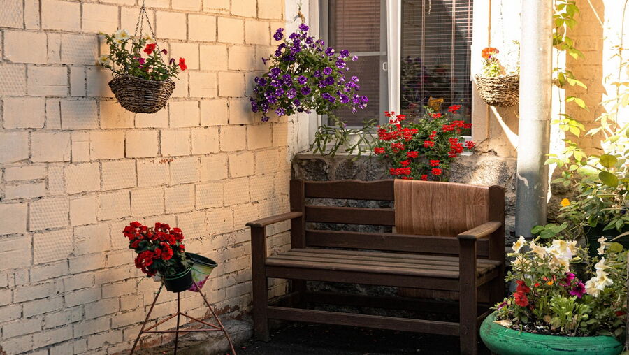 Flores