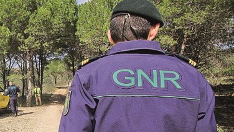 Detenção foi feita pelo Comando Territorial de Portalegre da GNR