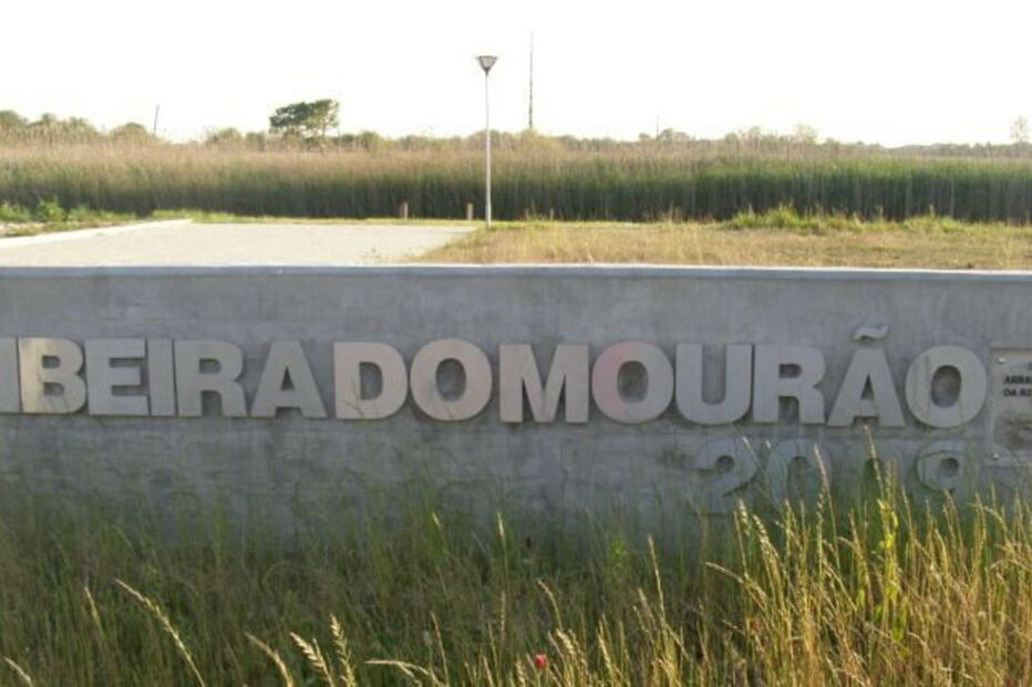 2020-06-01_08_21_55 file34.jpg