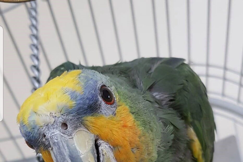 2020-06-02_11_35_43 NINTCHDBPICT000586526964.jpg