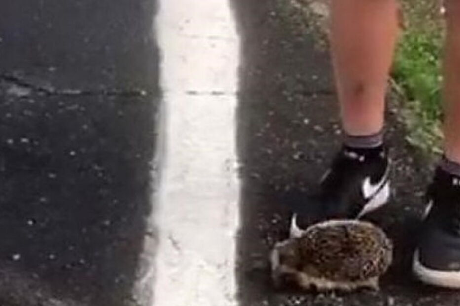 2020-06-02_18_40_43 5ed58fb71d60c (1).jpg