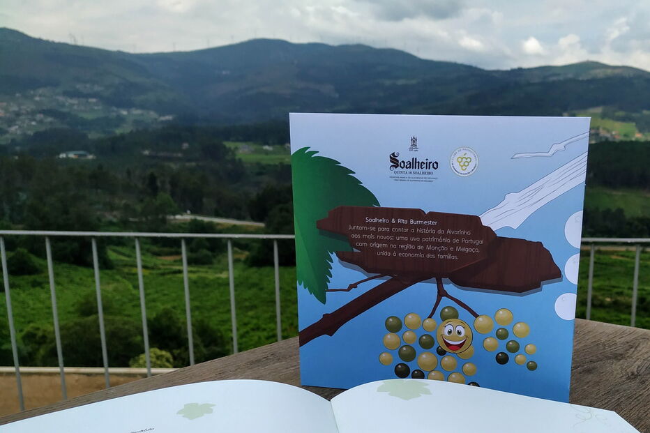 2020-06-03_12_06_50 Monção e Melgaço 4.jpg