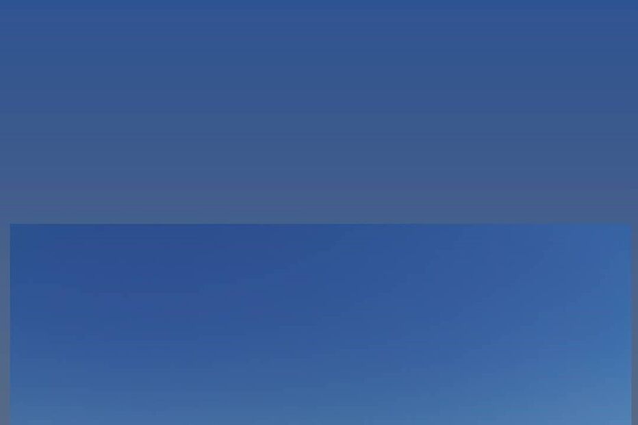 Bárbara Norton de Matos