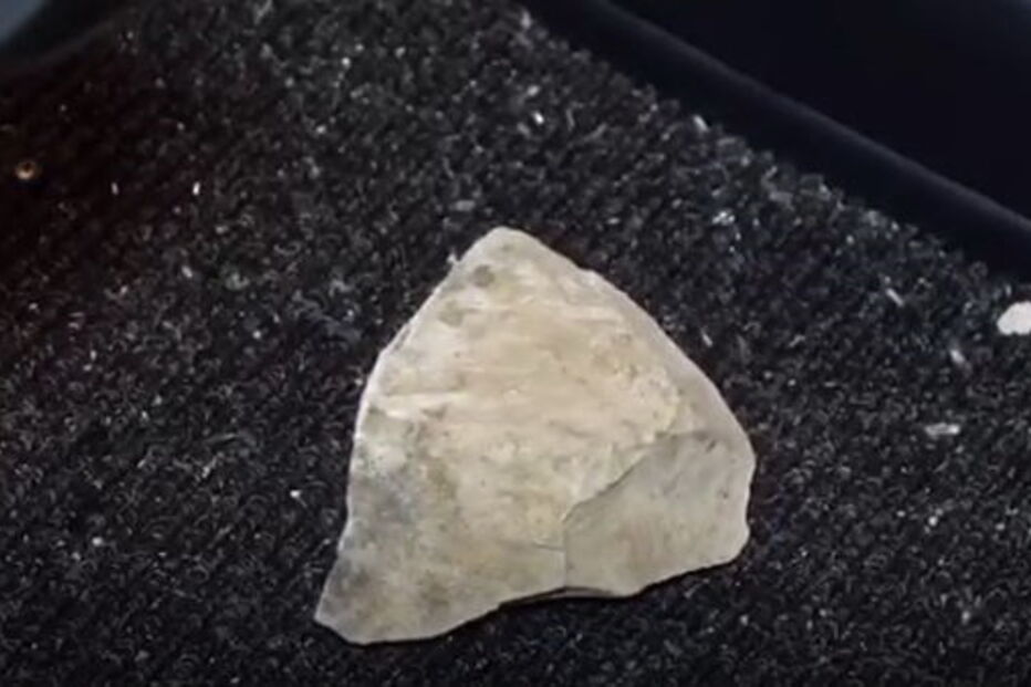 Veja as primeiras imagens que mostram o estado em que ficou o autocarro do Benfica após ataque