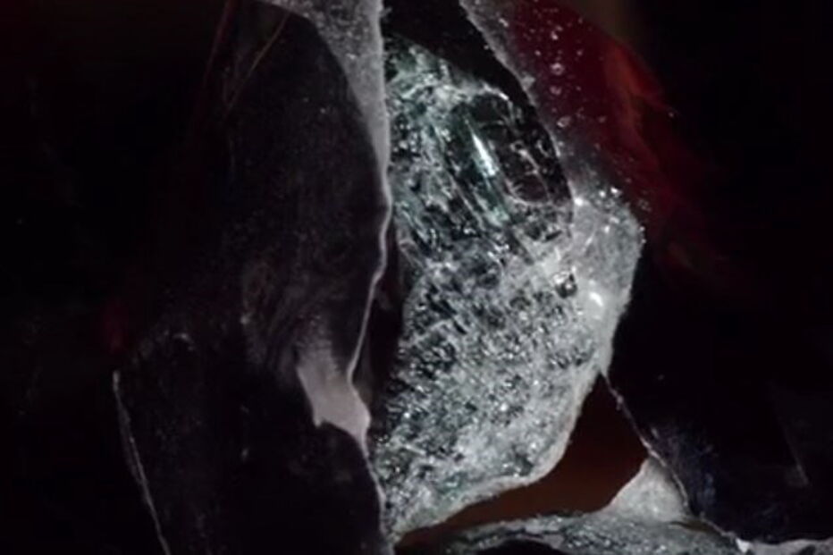 Autocarro do Benfica apedrejado empate com Tondela. Weigl e Zivkovic levados para o hospital	