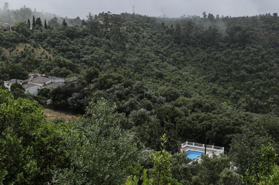 Na serra algarvia equipas de sapadores 