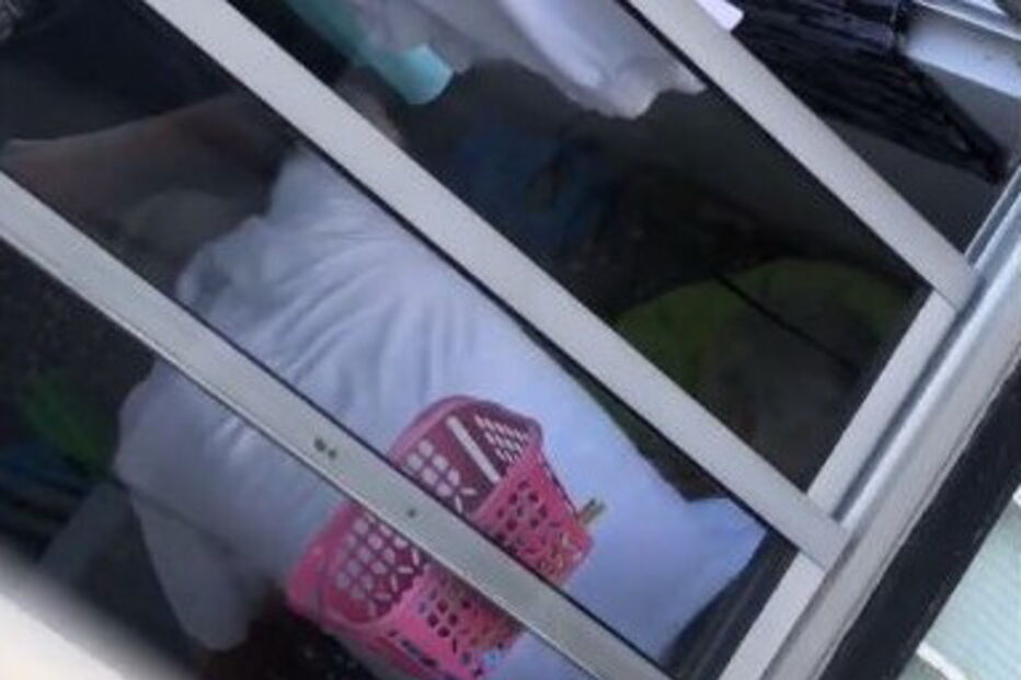 Homem filmado a espancar cão em Loures