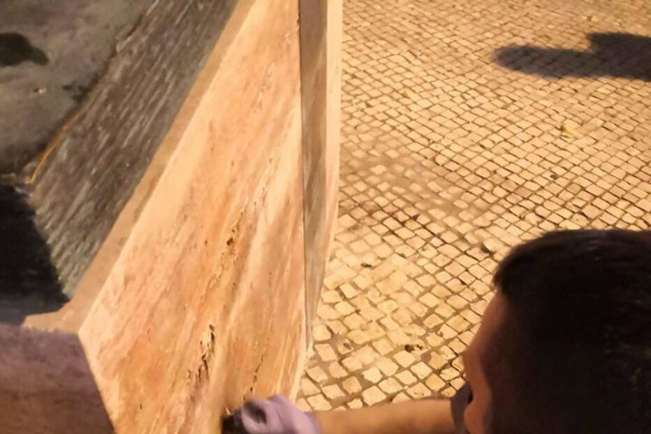 Câmara de Lisboa limpou estátua de Padre António Vieira que apareceu vandalizada