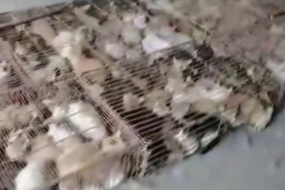 2020-06-12_15_10_15 garos.PNG