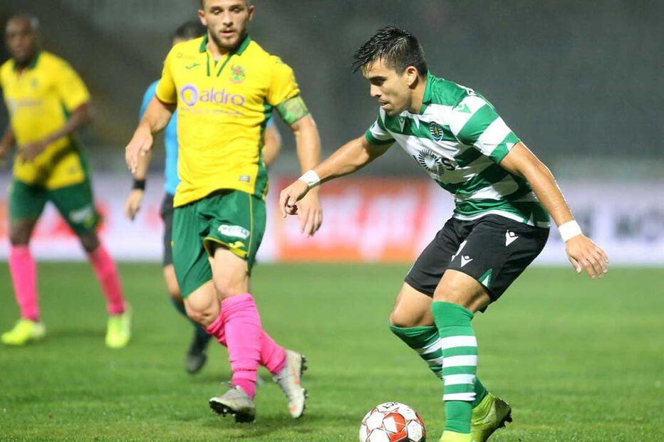 2020-06-12_19_13_38 32115262.JPG