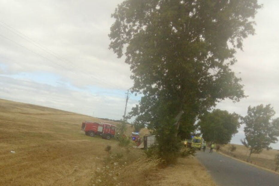 Homem de 53 anos morre em despiste de camião em Mourão