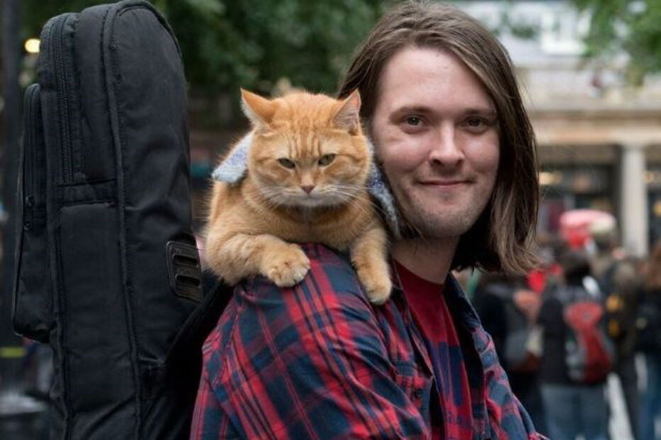 Bob, o gato de rua que transformou o dono sem-abrigo num escritor 'best-seller'