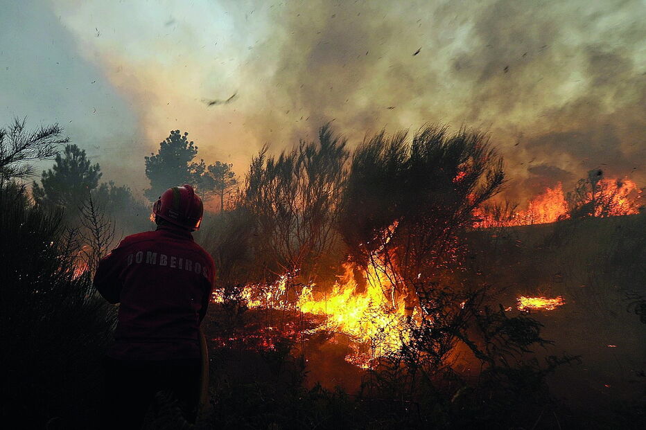 Arguido está acusado pelo Ministério Público de ter ateado incêndios entre maio e setembro do ano passado  