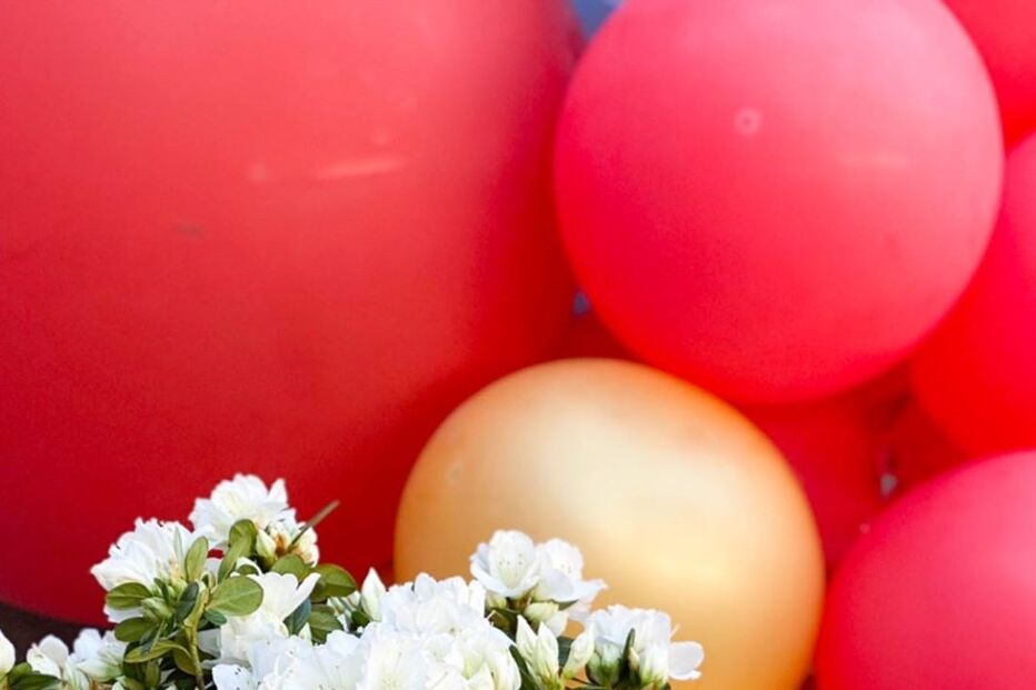 Simão Sabrosa, Vanessa Rebelo