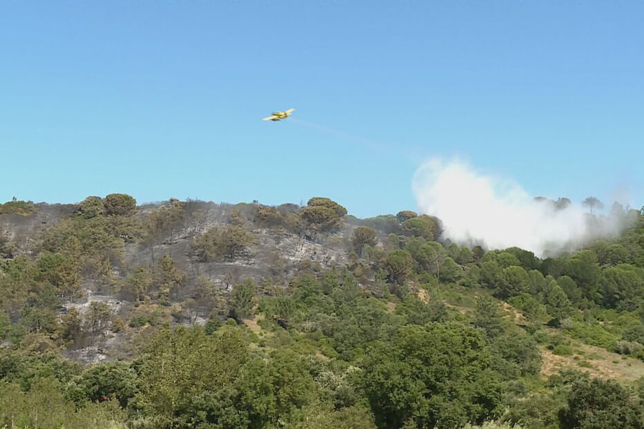 Quatro meios aéreos e mais de 70 bombeiros combatem incêndio florestal na Azambuja