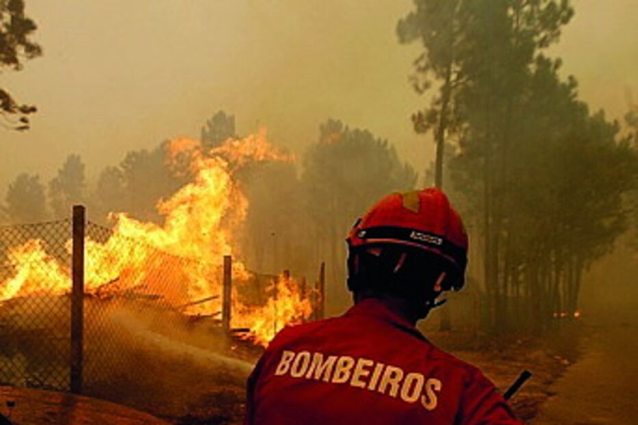 Bombeiros dominaram focos  