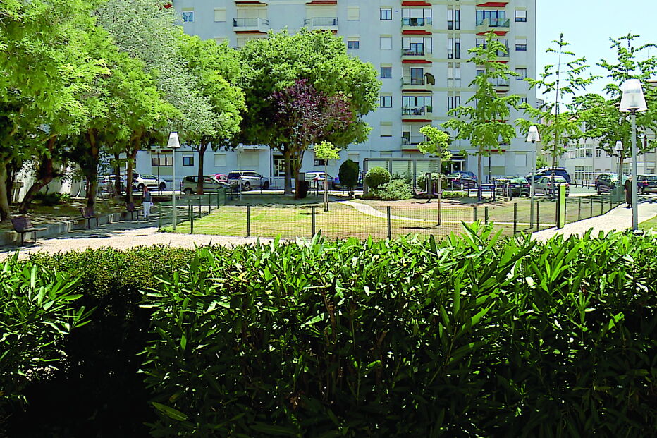 Parque, em Alvalade, onde ocorreu o crime