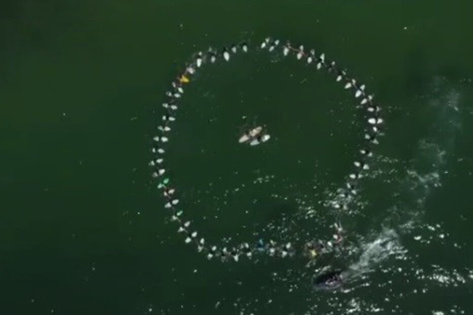 2020-06-20_21_46_51 surf.jpg