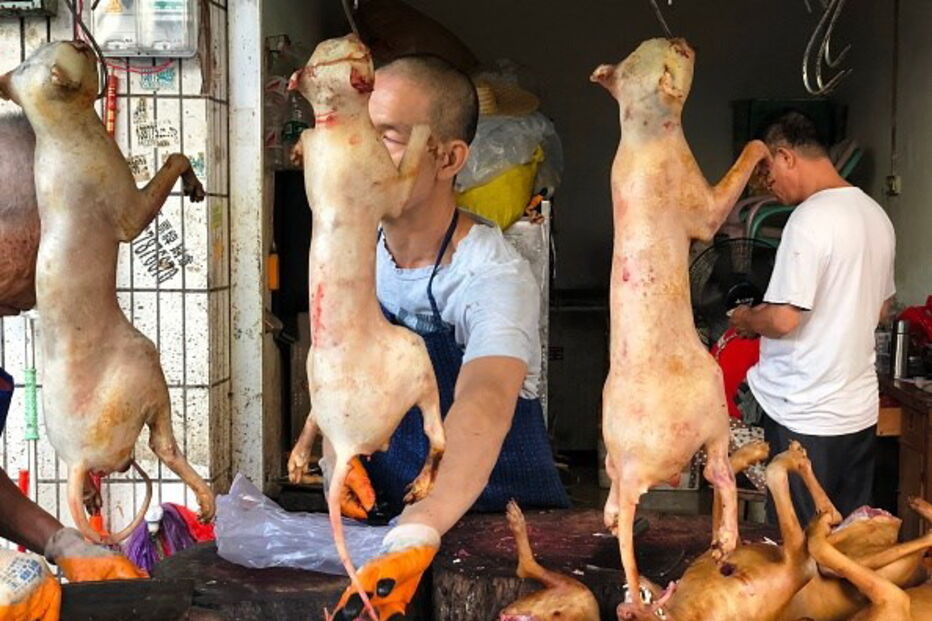 Yulin Festival - Imagem de arquivo