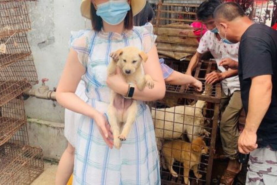 Yulin Festival 2020
