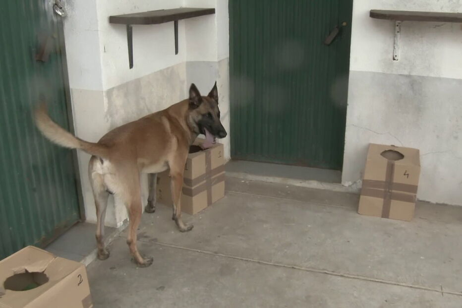 Imagem VLCSNAP-2020-06-23-16H13M39S959.JPG (5767460) (Milenium)