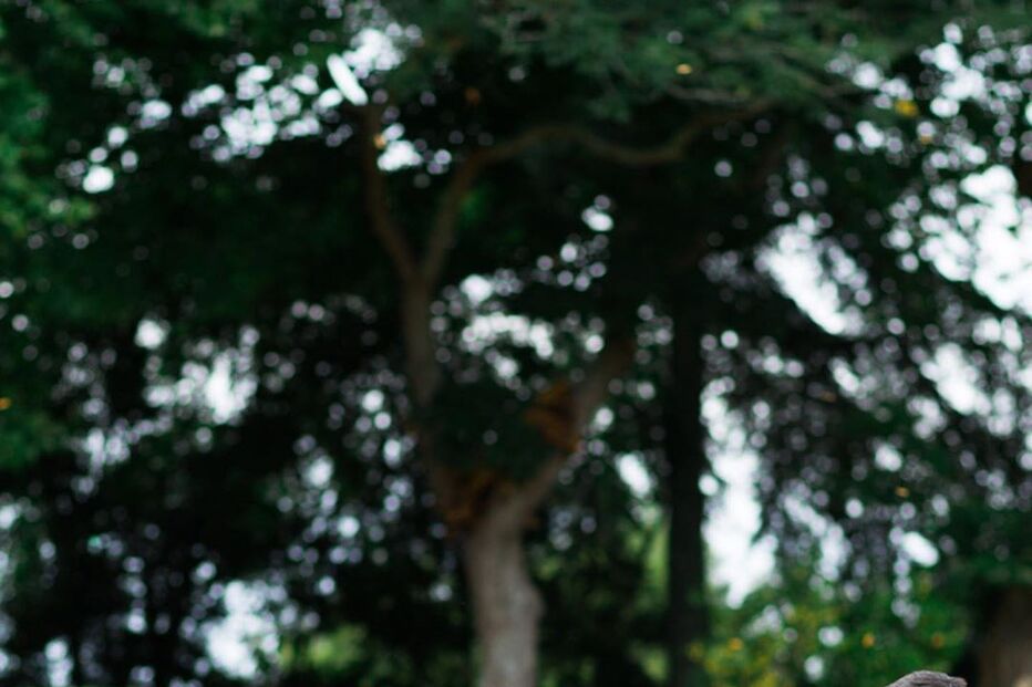 Andreia Rodrigues, Daniel Oliveira