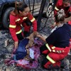 Detido suspeito de atear fogo que vitimou dezenas de animais em canil de Santo Tirso