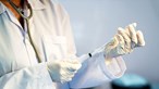 Vacina da Universidade de Oxford testada em humanos com 'resultados promissores'