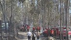 190 animais que sobreviveram às chamas em canil de Santo Tirso já foram acolhidos