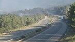 Incêndio em Fátima já foi dominado. A1 reaberta ao trânsito