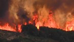 Mais de 600 bombeiros combatem incêndio com três frentes ativas em Castelo Branco