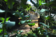 Passadiços de Castelo de Paiva 