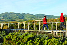 Passadiços da Cresmina (Guincho, Cascais)