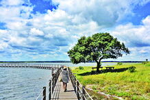 Passadiços do Alqueva