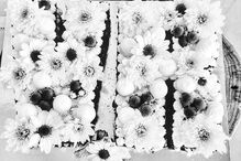 2020-07-14_17_50_46 106924487_198525594916295_3897604896174343471_n.jpg