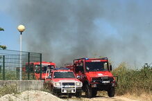 Incêndio consome zona de mato junto ao bairro da Triana em Rio Tinto 