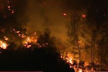 Reacendimento no fogo de Cascais volta a ameaçar casas