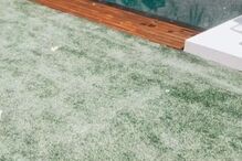 Mulher de Simão Sabrosa desfruta de luxos