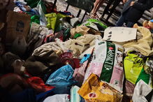 Centenas de pessoas juntam-se em vigília de homenagem a animais mortos em incêndio de Santo Tirso