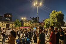 Centenas de pessoas juntam-se em vigília de homenagem a animais mortos em incêndio de Santo Tirso