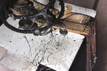 Vandalizadas em Cascais mais de 200 máquinas de venda de máscaras contra coronavírus