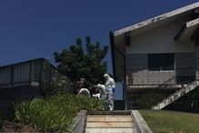 Um morto em assalto violento a casa em Vila Nova de Famalicão	