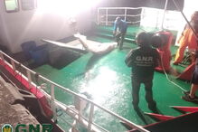 GNR apreende em Viana do Castelo 190 mil euros de atum-rabilho e espadarte